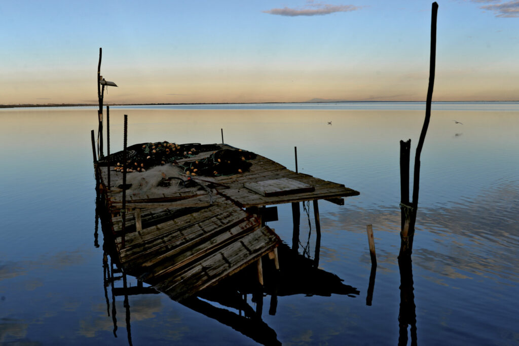 Etang de l'or - photographie de Daniel Mielniczek